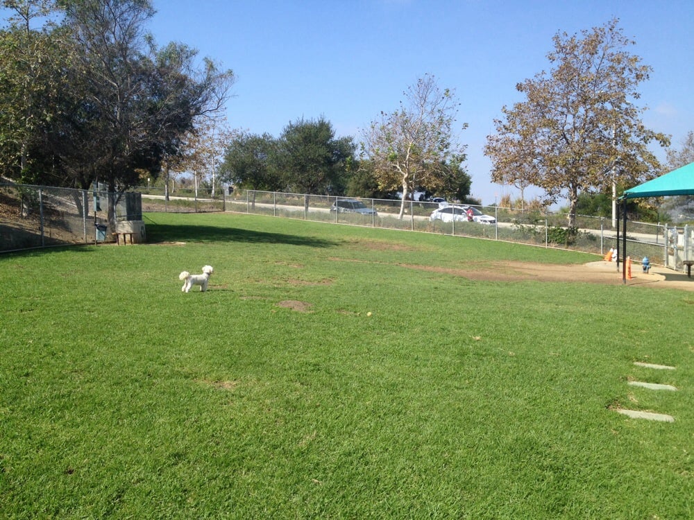 San Clemente Dog Park 28 Reviews Dog Parks 301 Avenida La Pata