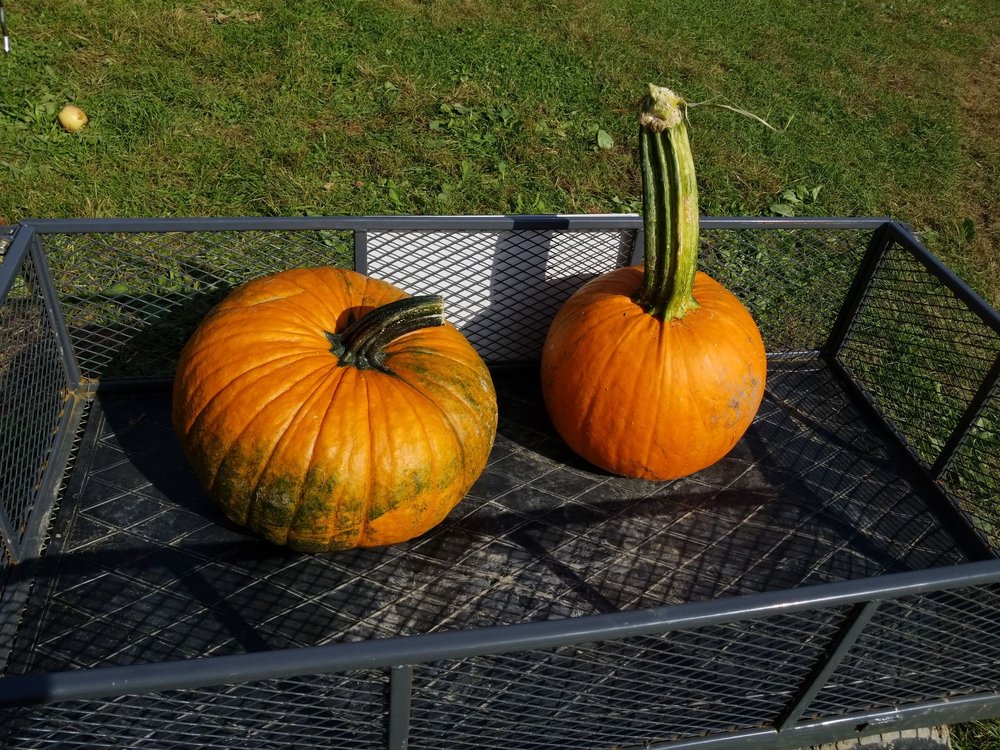Fix Bros Fruit Farm