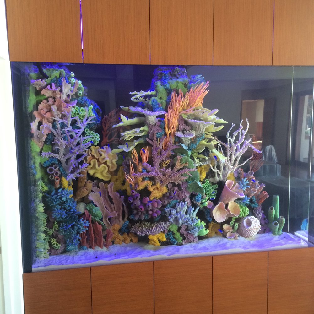 Aquarium Doctor, Inc. 13 Photos Aquarium Services 9151 Atlanta