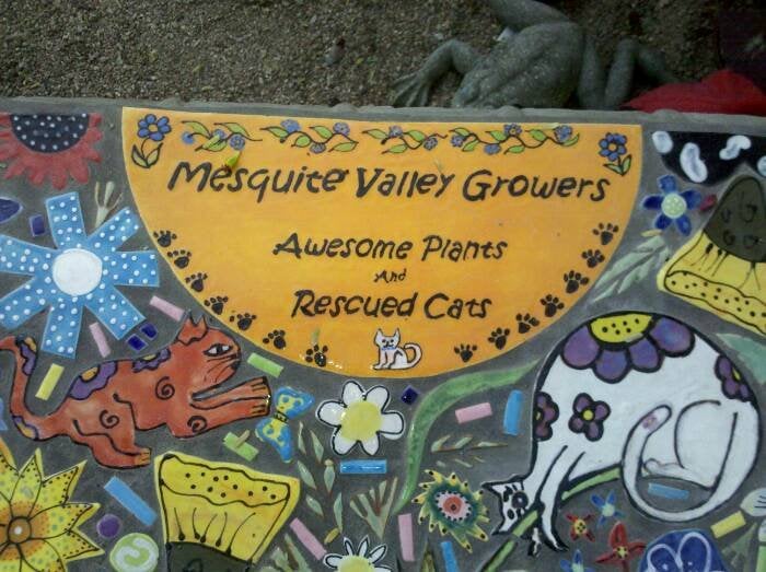 Photos for Mesquite Valley Growers Nursery - Yelp