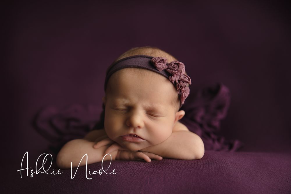 Ashlie Nicole Photography