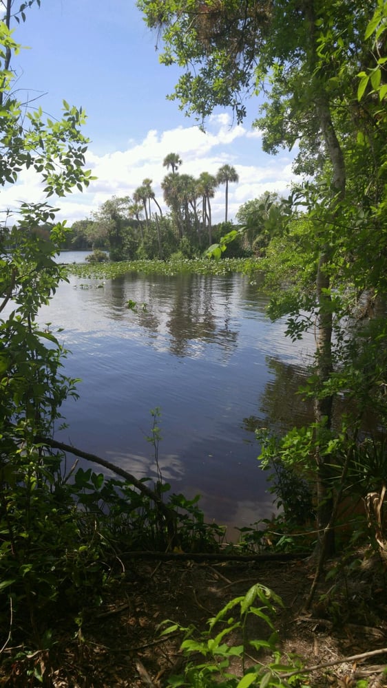 bonita springs single parents Bonita springs preparatory and fitness academy is a public, charter school located in bonita springs, fl it has 386 students in grades k-8 with a student-teacher ratio of 15 to 1 according to state test scores, 54% of students are at. bonita springs single parents Bonita springs preparatory and fitness academy is a public, charter school located in bonita springs, fl it has 386 students in grades k-8 with a student-teacher ratio of 15 to 1 according to state test scores, 54% of students are at.