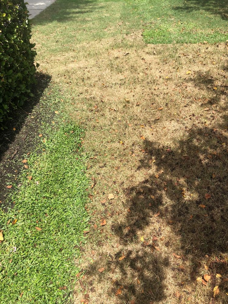 Westcoast Landscape & Lawns