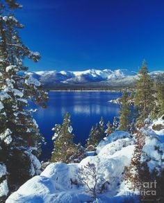 Get To Destination W Skilled Snow Drivers Its That Wonderful Time Photo Of Tahoe Taxi Express Kings Beach Ca United States Get To