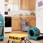 Carpet Care Tips Tile Upholstery Dynamic Three Ways To Manage Your Pets Carpet Stains