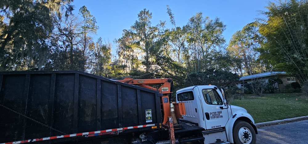 Gator Tree Service