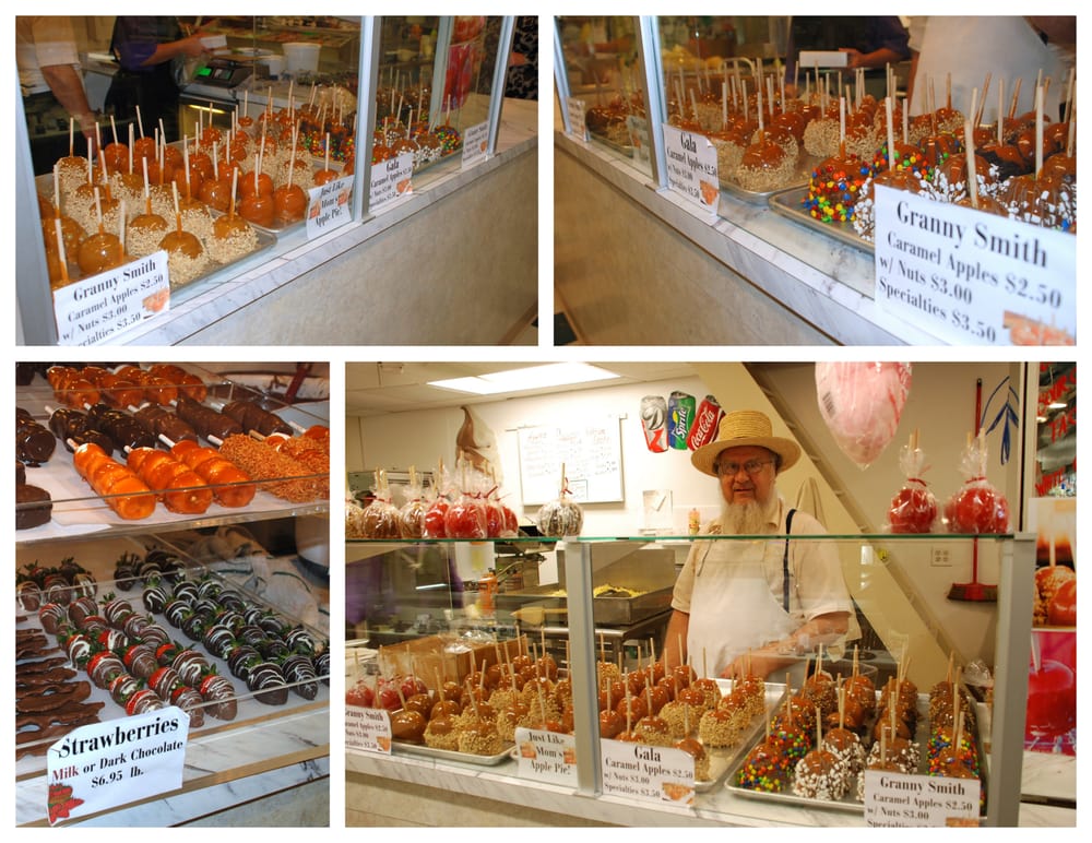 booths corner puppies booths corner farmers market last updated 9 june 2017 65 photos 35 reviews booths corner puppies booths corner farmers market last updated 9 june 2017 65 photos 35 reviews