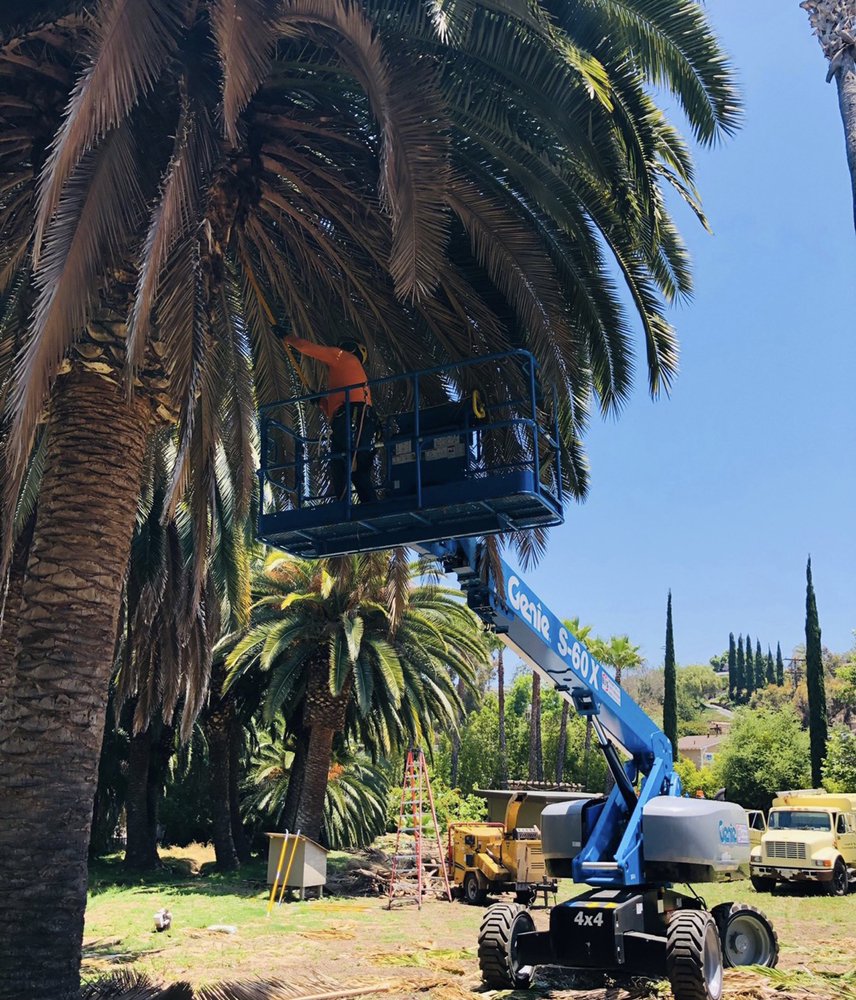 Leaf It To Us Tree Service