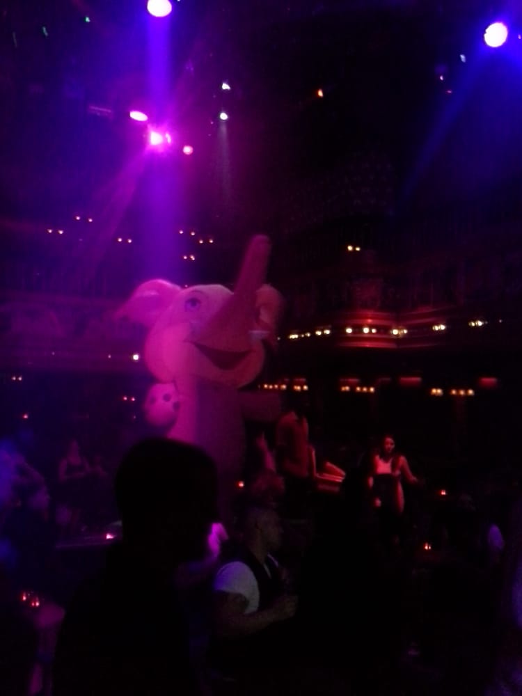 The Act CLOSED 48 Photos & 77 Reviews Dance Clubs