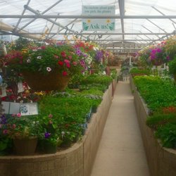 Plantorium Greenhouse Nurseries Gardening 2933 W County Rd 54g Photo Of Plantorium Greenhouse Fort Collins Co United States Several Greenhouses With