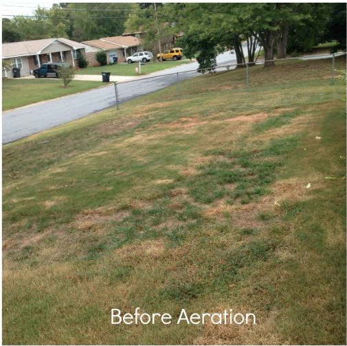 Lawn Guy Inc
