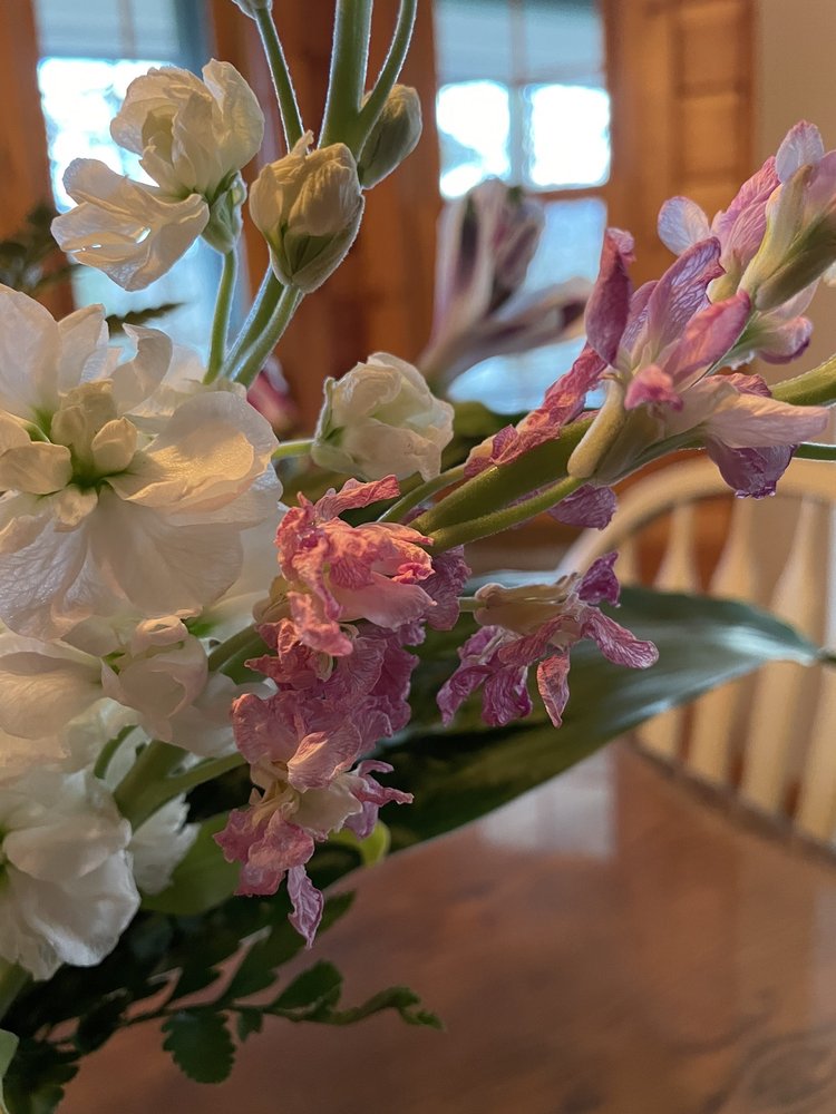 Daisy's House of Flowers