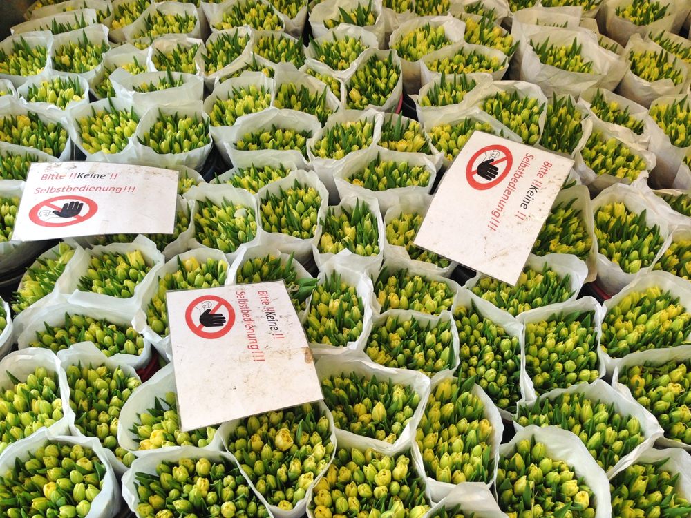 Blumenladen 22 Photos & 46 Reviews Florists Susannenstr. 30