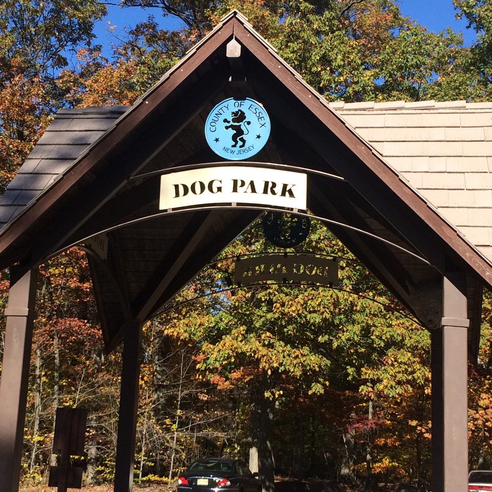 South Mountain Dog Park 20 Photos & 23 Reviews Dog Parks 10 Bear