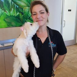 Pet Suites 103 P Os 139 Reviews Pet Sitting 19 Journey Aliso Viejo Ca Phone Number Yelp Pet Suites 103 P Os 139 Reviews Pet Sitting 19 Journey Aliso Viejo Ca Phone Number Yelp