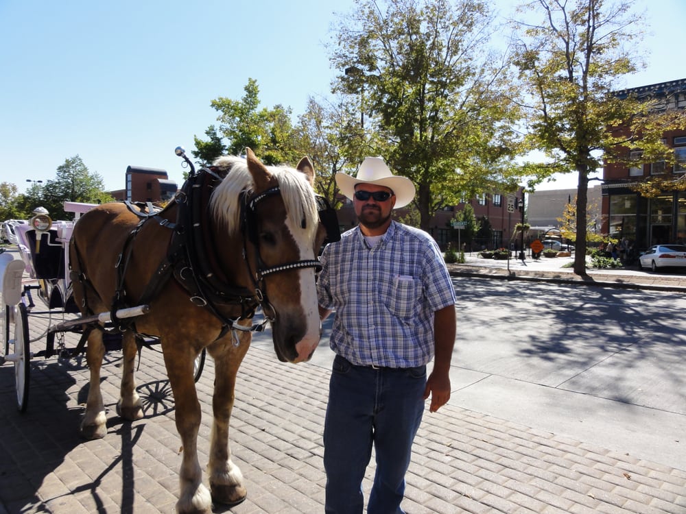 Colorado Carriage and Wagon Horseback Riding Fort Collins, CO