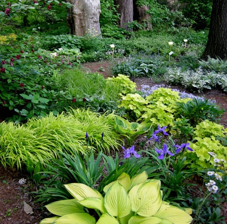 The Shady Part Of My Pa S Garden In Germany Planted Under Some Photo Of Ashcrow Landscape Design Los Angeles Ca United States The Shady