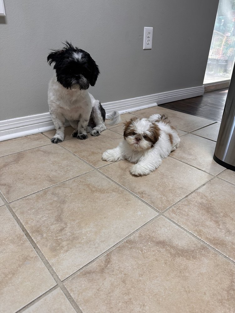 Niceville Animal Clinic Image