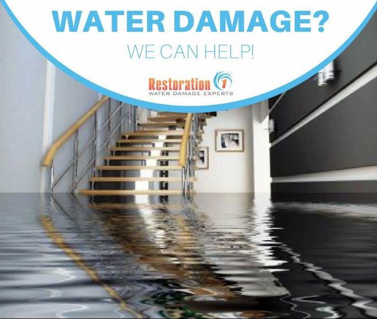 Restoration 1 of Winston-Salem