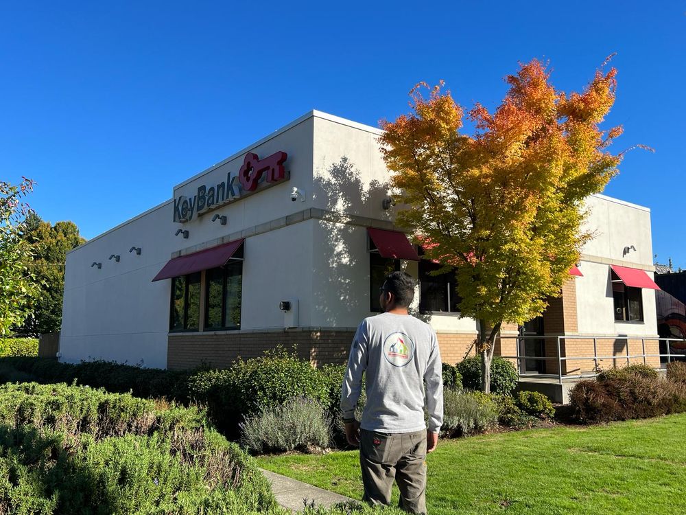 DB Luminous Painting