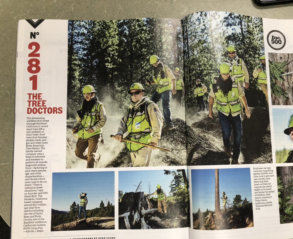 American Tree Medics