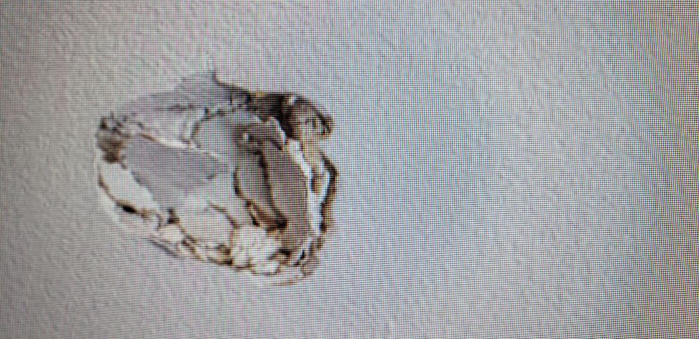 image of business RiteRug Flooring