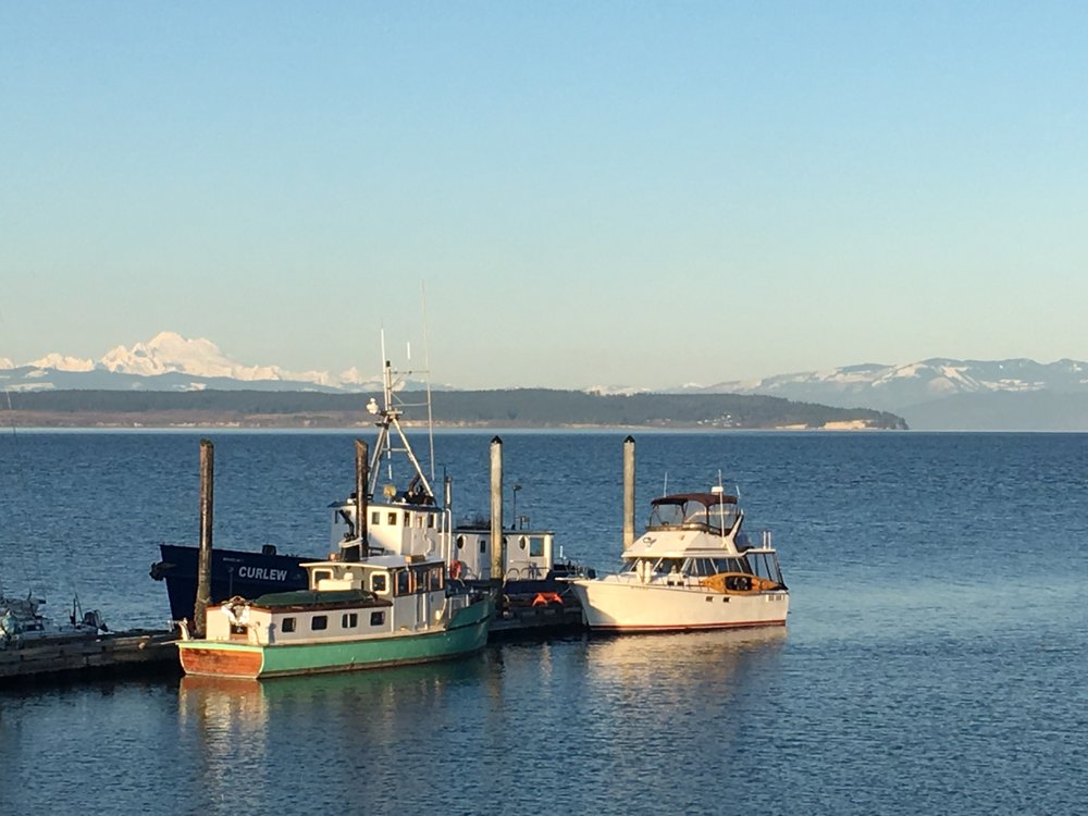 Saratoga Yacht Charters