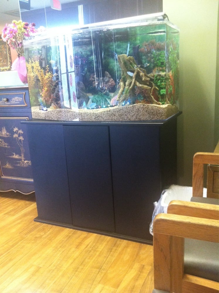 Love My Dentist General Dentistry 112 High St, Waldorf, MD Phone