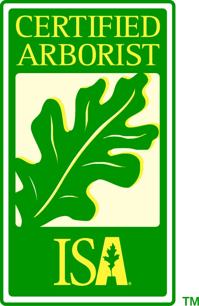 D & J Professional Tree Service