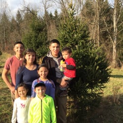 middleburg christmas tree farm midlertidigt lukket 22 middleburg christmas tree farm midlertidigt lukket 22