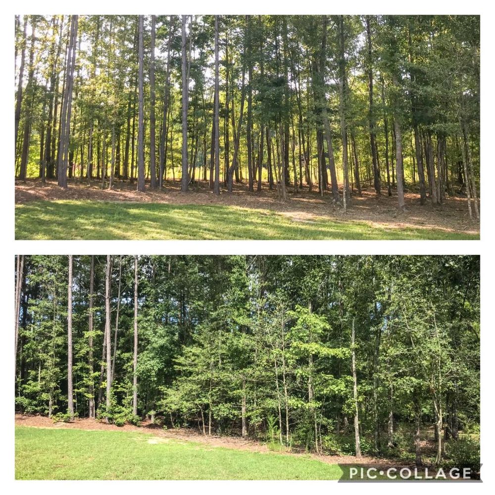 Stone Valley Landscapes