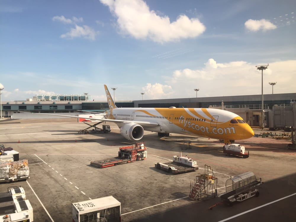Scoot 19 Photos & 11 Reviews Airlines 25 Airline Rd, Changi