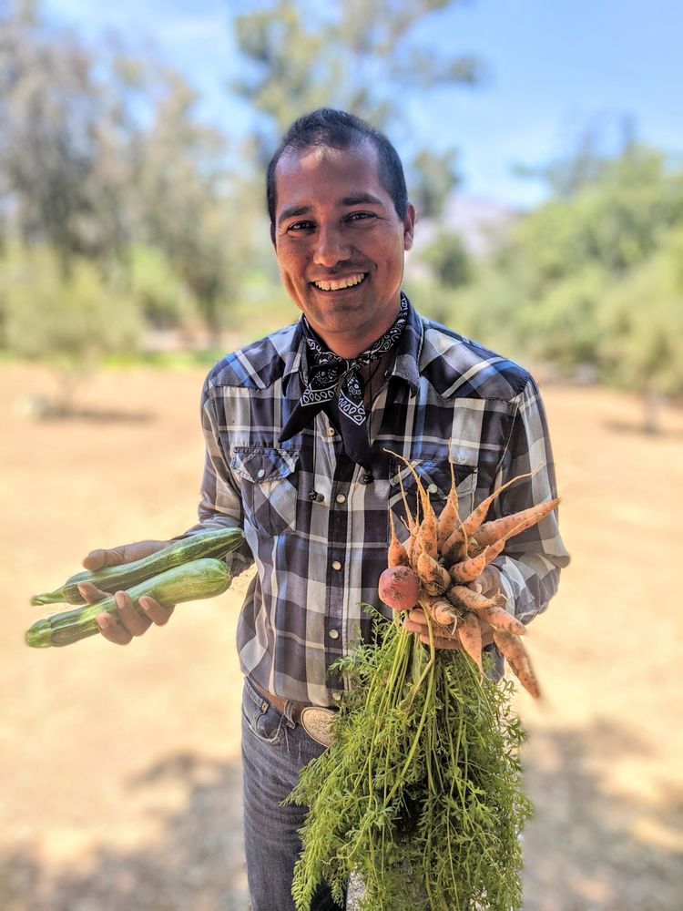 Chuy Ojai Build and Garden