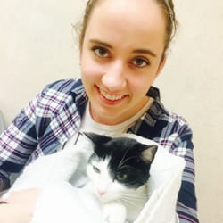 garden grove and cat hospital garden grove cat hospital 244 photos 261 reviews veterinarians 10822 garden grove and cat hospital garden grove cat hospital 244 photos 261 reviews veterinarians 10822