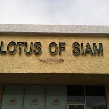lotus of siam flamingo lotus of siam flamingo