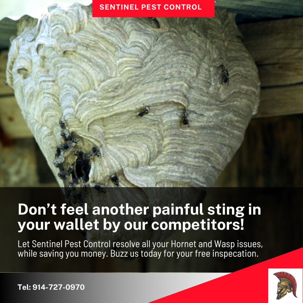 Sentinel Pest Control