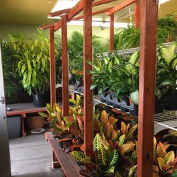 Brookwood Nursery 47 Photos Nurseries Gardening 652 Brannan Photo Of Brookwood Nursery San Francisco Ca United States Fair Prices On