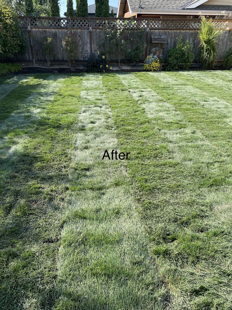 Adan’s Professional Landscaping And Farming Service