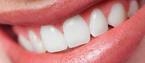 image of business Jack P Horbal, DDS