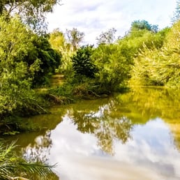 Sabal Palm Sanctuary - 42 Photos - Parks - 8435 Sabal Palm ...