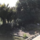 photo of san francisco botanical garden san francisco ca united states - San Francisco Botanical Garden photo of san francisco botanical garden san francisco ca united states - San Francisco Botanical Garden