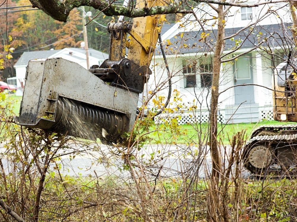 Cody's Tree Service