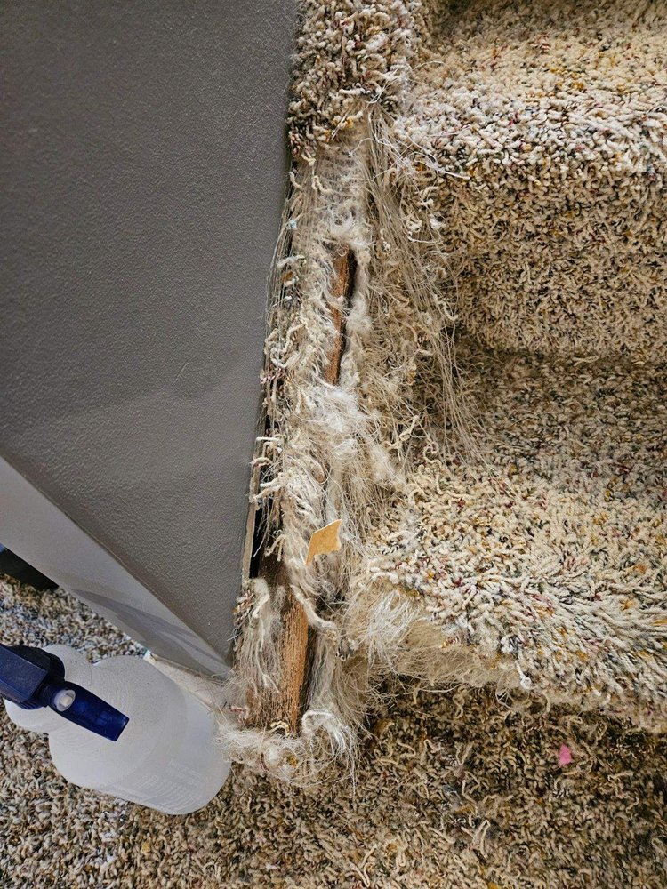Kelly Prater Carpet Repair