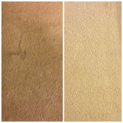 Carpet Cleaning Torrance Customer Review Zerorez Socal Photo Of Action Carpet Cleaning Torrance Ca United States After Stained