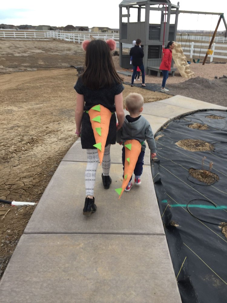 image of business Arvada Pediatric Associates North