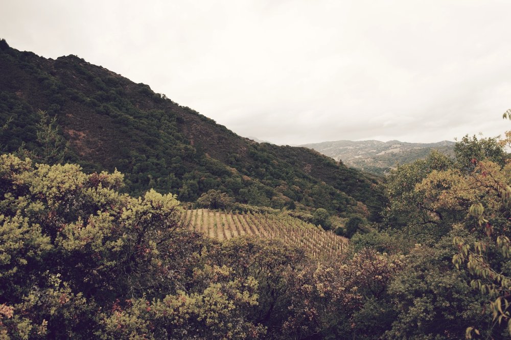 Alta Orsa Winery