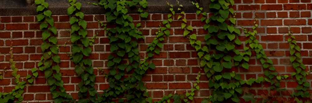 image of business JQ Brick Repair & Restoration Services
