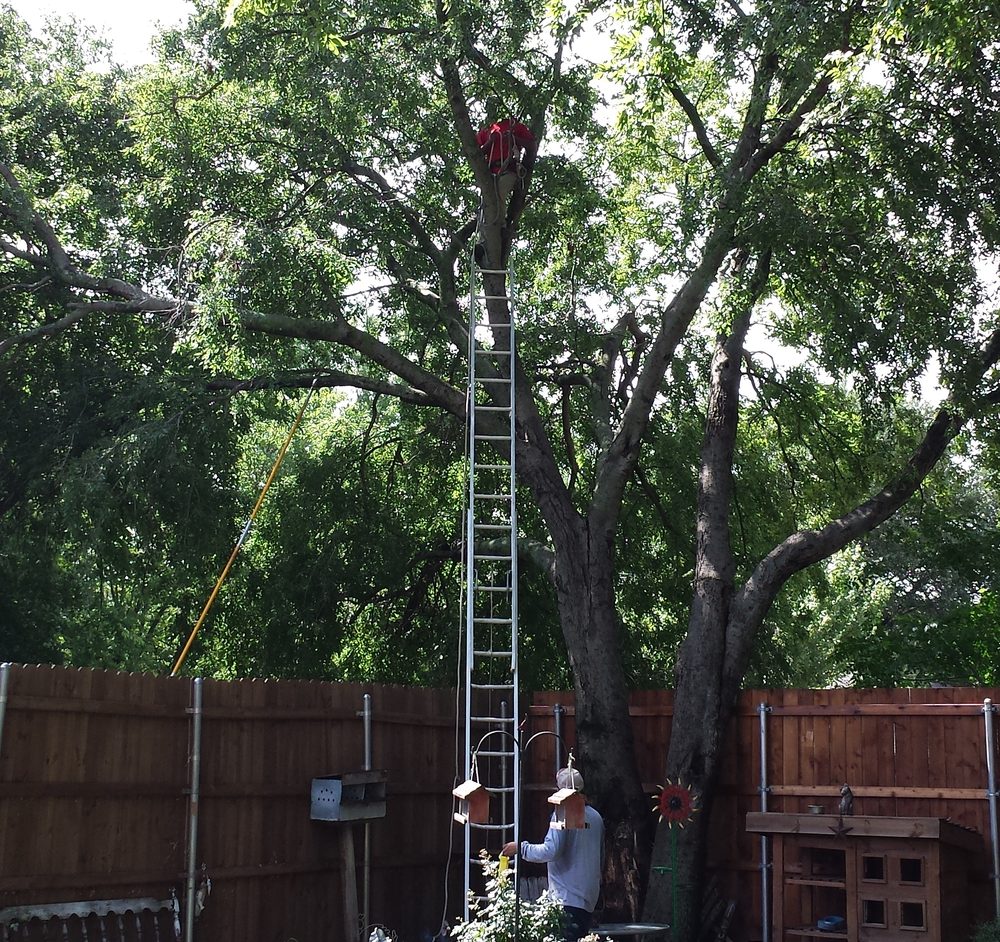 BAKER LANDSCAPE & TREE SVC