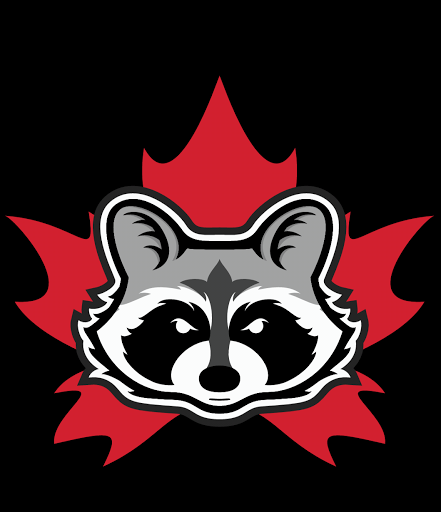 Raider Wildlife Control