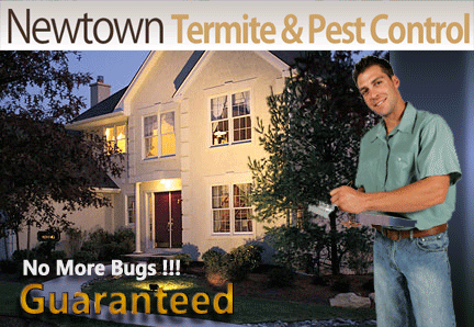 Newtown Termite & Pest Control